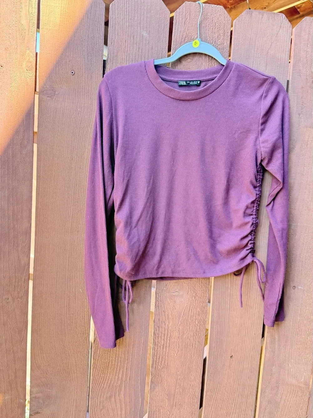 Zara Mauve Long Sleeve Side-Ruched Crop Top